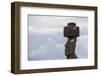 Preserved Original Moai in the Tahai Archaeological Zone-Michael Nolan-Framed Photographic Print