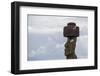 Preserved Original Moai in the Tahai Archaeological Zone-Michael Nolan-Framed Photographic Print