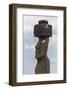 Preserved Original Moai in the Tahai Archaeological Zone-Michael Nolan-Framed Photographic Print