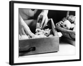 Preserving Apples-Elsie Collins-Framed Photographic Print