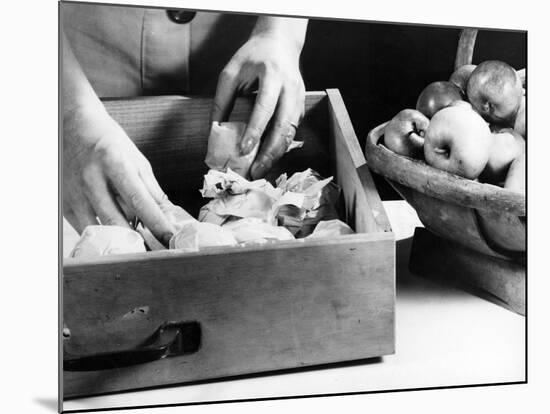 Preserving Apples-Elsie Collins-Mounted Photographic Print