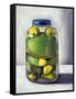 Preserving Childhood Frog-Leah Saulnier-Framed Stretched Canvas