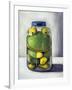 Preserving Childhood Frog-Leah Saulnier-Framed Giclee Print