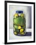 Preserving Childhood Frog-Leah Saulnier-Framed Giclee Print