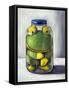 Preserving Childhood Frog-Leah Saulnier-Framed Stretched Canvas