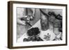 Preserving Plums-null-Framed Photographic Print