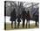 President Barack Obama anf Family Walk on the South Lawn of the White House in Washington-null-Stretched Canvas