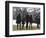 President Barack Obama anf Family Walk on the South Lawn of the White House in Washington-null-Framed Photographic Print