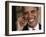 President Barack Obama Smiles as He Participates in a Joint News Conference in the White House-null-Framed Photographic Print