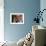 President Barack Obama Smiles as He Participates in a Joint News Conference in the White House-null-Framed Photographic Print displayed on a wall