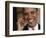 President Barack Obama Smiles as He Participates in a Joint News Conference in the White House-null-Framed Photographic Print