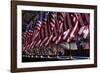 President Barack Obama Speaks on Immigration Reform in Las Vegas, Nev, Jan. 29, 2013-null-Framed Photo