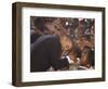 President Barack Obama Visits the Dr. Martin Luther King Charter School of New Orleans, Louisiana-null-Framed Photographic Print