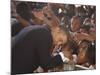 President Barack Obama Visits the Dr. Martin Luther King Charter School of New Orleans, Louisiana-null-Mounted Photographic Print