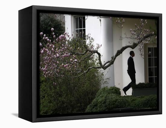 President Barack Obama Walks Down the Colonnade to the Oval Office of the White House-null-Framed Stretched Canvas