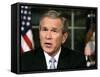 President Bush Delivers a Portion of His Speech for a Second Time for Assembled News Photographers-null-Framed Stretched Canvas