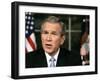 President Bush Delivers a Portion of His Speech for a Second Time for Assembled News Photographers-null-Framed Photographic Print