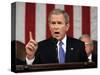 President Bush Delivers His Fifth State of the Union Speech-null-Stretched Canvas