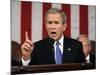 President Bush Delivers His Fifth State of the Union Speech-null-Mounted Photographic Print