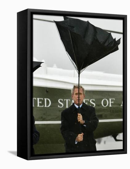 President Bush Jokingly Holds His Wind-Blown Umbrella Upright-null-Framed Stretched Canvas