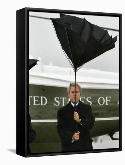 President Bush Jokingly Holds His Wind-Blown Umbrella Upright-null-Framed Stretched Canvas