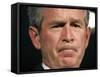 President Bush Listens to a Question About His Declassifying an Intelligence Report-null-Framed Stretched Canvas