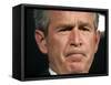 President Bush Listens to a Question About His Declassifying an Intelligence Report-null-Framed Stretched Canvas