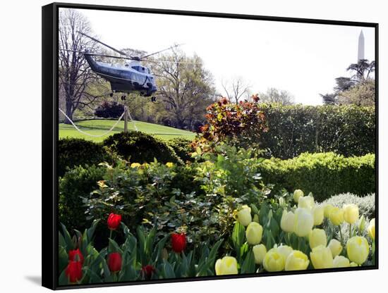 President Bush's Helicopter Leaves the White House-null-Framed Stretched Canvas