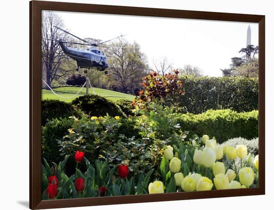 President Bush's Helicopter Leaves the White House-null-Framed Photographic Print