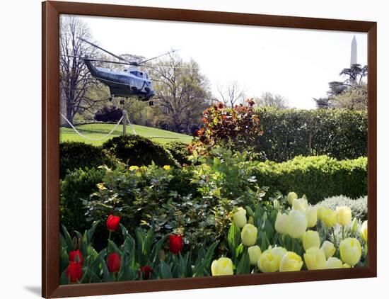 President Bush's Helicopter Leaves the White House-null-Framed Photographic Print