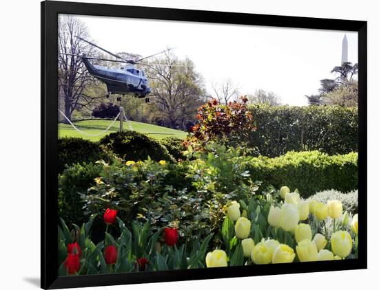 President Bush's Helicopter Leaves the White House-null-Framed Photographic Print