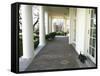 President Bush's Scottish Terrier Miss Beazley Plays on the Colonnade-null-Framed Stretched Canvas
