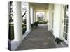 President Bush's Scottish Terrier Miss Beazley Plays on the Colonnade-null-Stretched Canvas