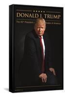 President Donald Trump-Trends International-Framed Stretched Canvas