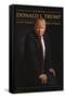 President Donald Trump-Trends International-Framed Stretched Canvas