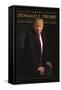 President Donald Trump-Trends International-Framed Stretched Canvas