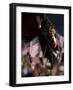 President-Elect Barack Obama Walking onto Stage to Deliver Acceptance Speech, Nov 4, 2008-null-Framed Photographic Print