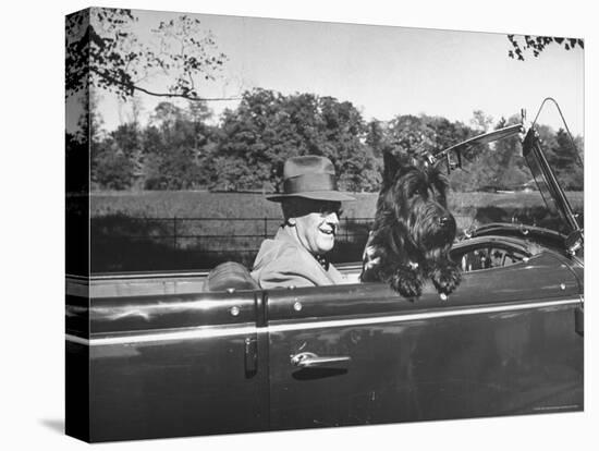 President Franklin D. Roosevelt Driving in His Convertible with His Dog Fala Through Hyde Park-George Skadding-Stretched Canvas