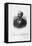 President Garfield-null-Framed Stretched Canvas