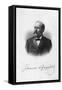 President Garfield-null-Framed Stretched Canvas