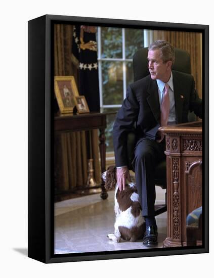 President George W. Bush Pets Spot in the Oval Office of the White House. Oct. 1, 2001-null-Framed Stretched Canvas