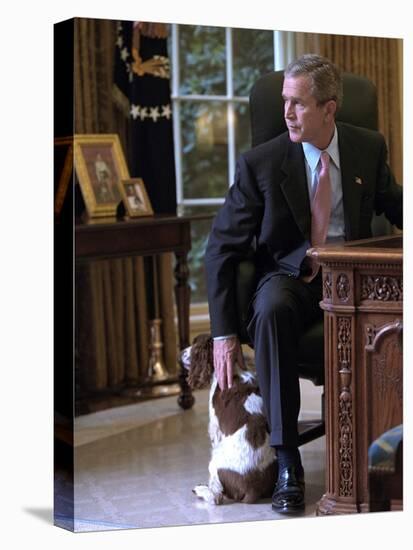 President George W. Bush Pets Spot in the Oval Office of the White House. Oct. 1, 2001-null-Stretched Canvas