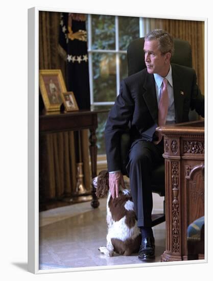 President George W. Bush Pets Spot in the Oval Office of the White House. Oct. 1, 2001-null-Framed Photo