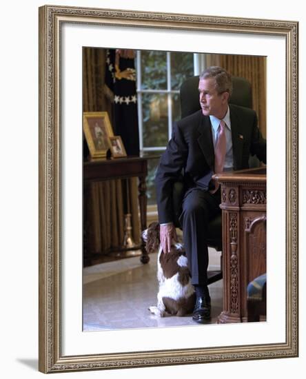 President George W. Bush Pets Spot in the Oval Office of the White House. Oct. 1, 2001-null-Framed Photo