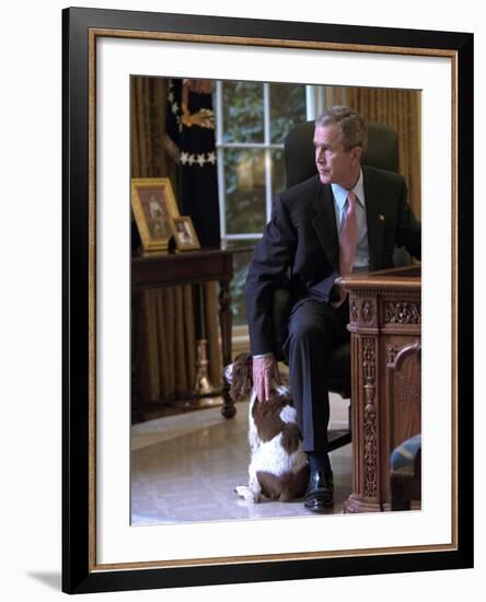 President George W. Bush Pets Spot in the Oval Office of the White House. Oct. 1, 2001-null-Framed Photo