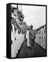 President Harry Truman Inspects the Personnel of the Uss Missouri-null-Framed Stretched Canvas