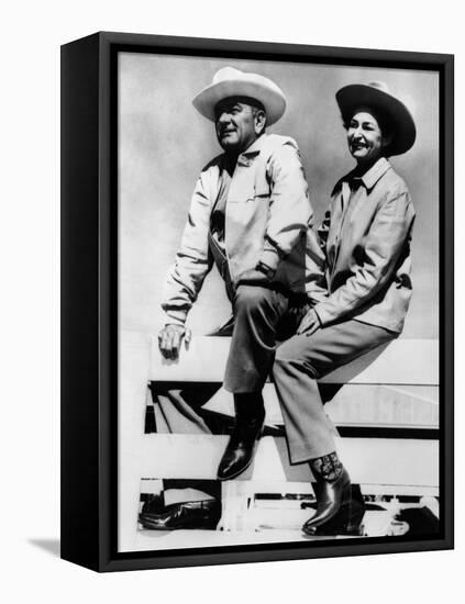 President Lyndon and Lady Bird Johnson Sitting on a Fence at the LBJ Ranch-null-Framed Stretched Canvas