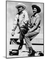 President Lyndon and Lady Bird Johnson Sitting on a Fence at the LBJ Ranch-null-Mounted Photo