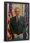 President Lyndon B Johnson (Portrait, Color) Art Poster Print-null-Framed Poster