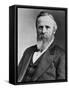 President Rutherford B. Hayes, Elected in 1876, Running Against Democrat Samuel Tilden-null-Framed Stretched Canvas